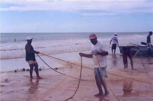 Pescadores puxam a rede de arrastão - 2000  